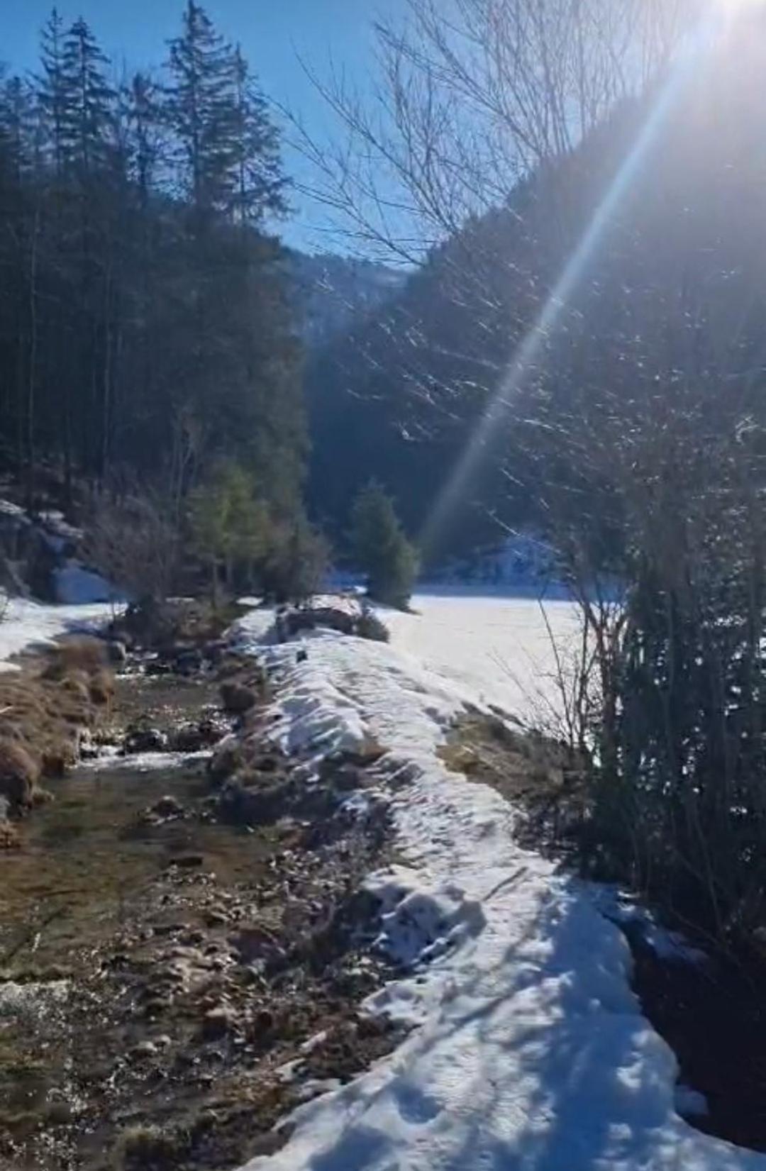 Bio Bauernhof Geisl Leilighet Sankt Ulrich am Pillersee Eksteriør bilde